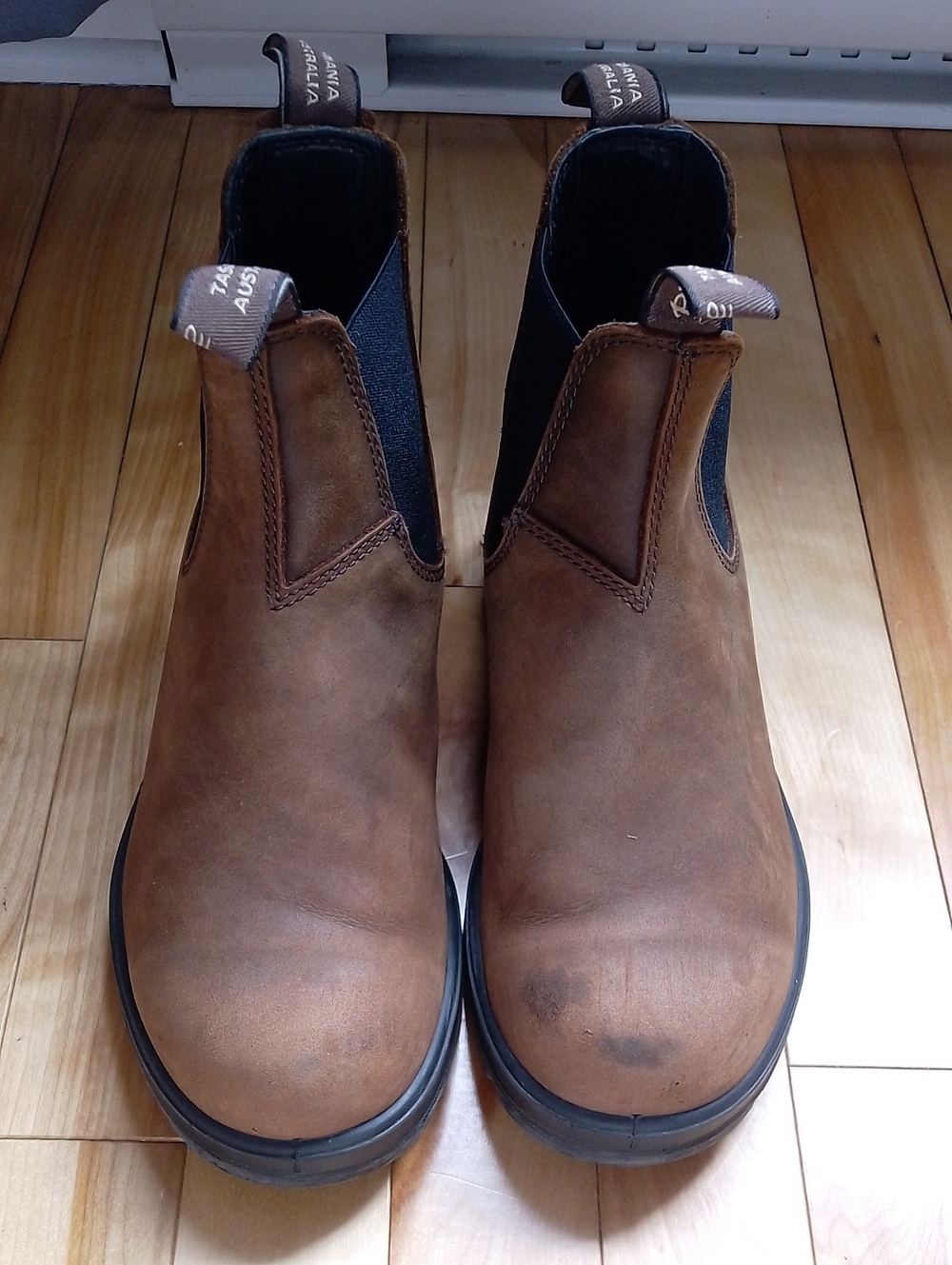Blundstone Boots